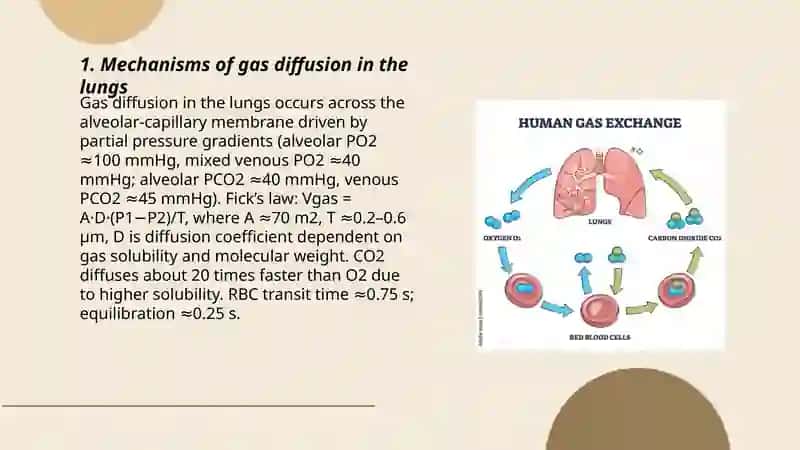 The exchange of gas 3