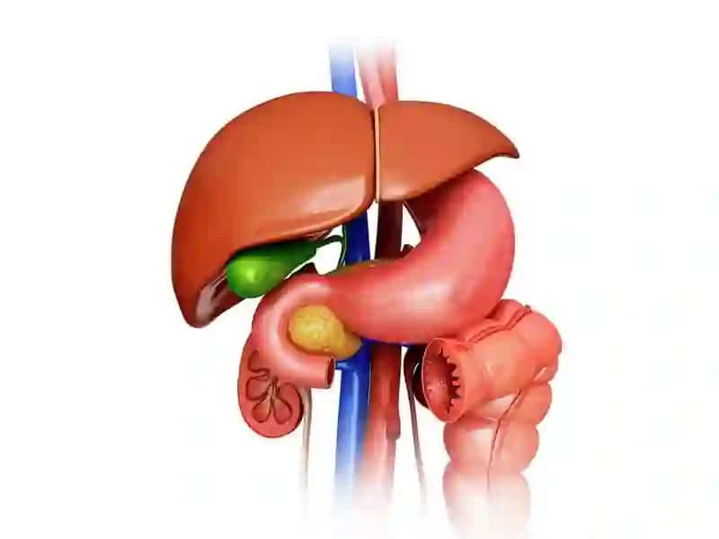 Hepatic shedevr 3