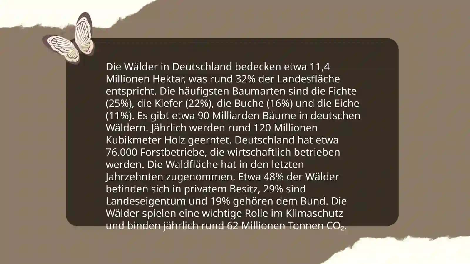 Natur und Landschaften 3