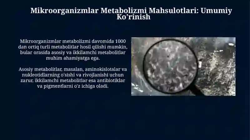 Mikroorganizmlar Metabolizmi Mahsulotlari 3