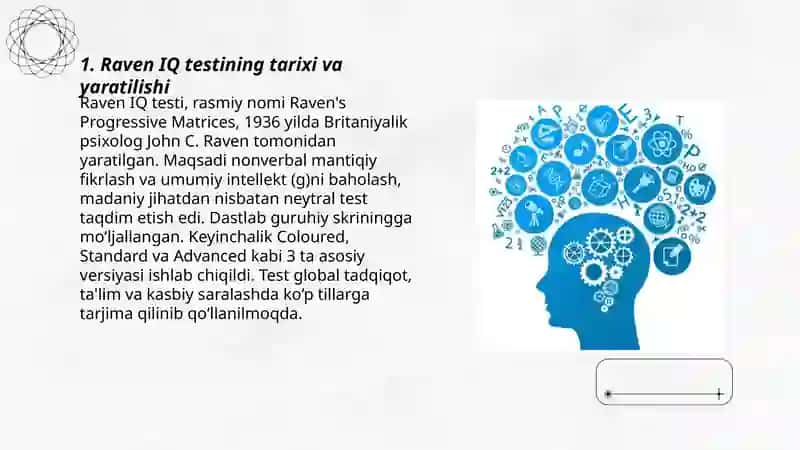 Raven IQ testi 3