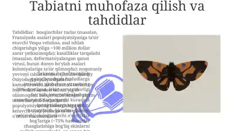 Parda qanotlilar turkumi Hymenoptera 3