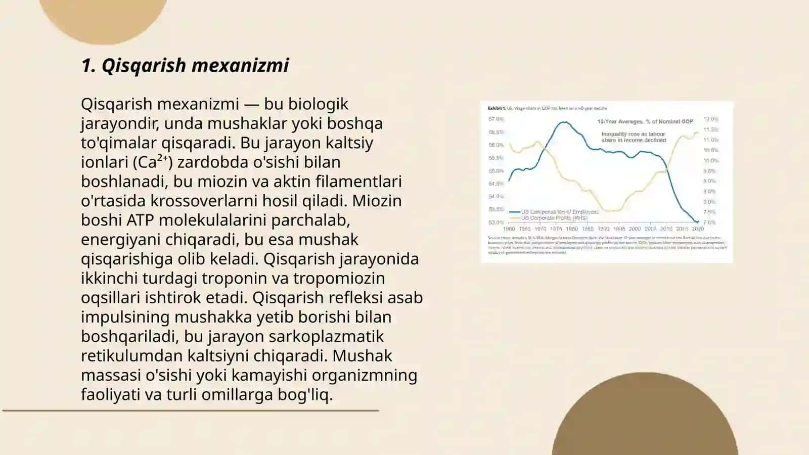 Muskul qisqarishi apparat oqsilari 3