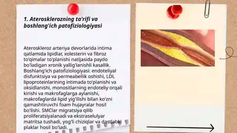 Aterosklerozning kelib chiqish mexanizmi 3