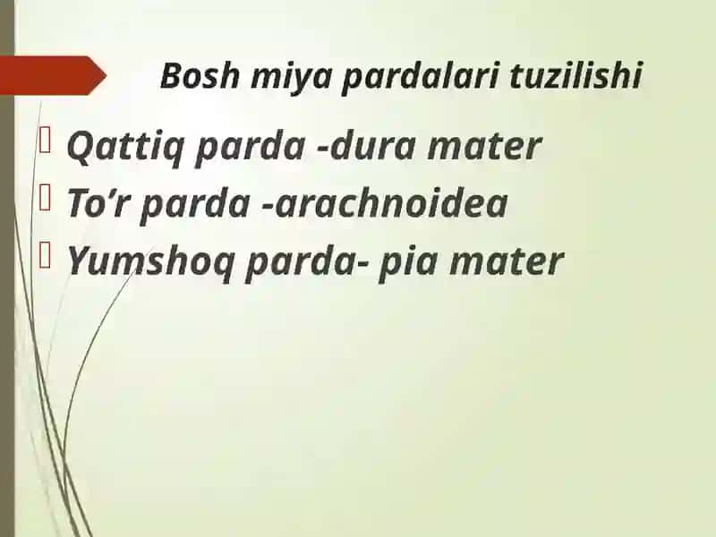 Bosh miya pardalarining vena bo'shliqlari va sisternalari 3