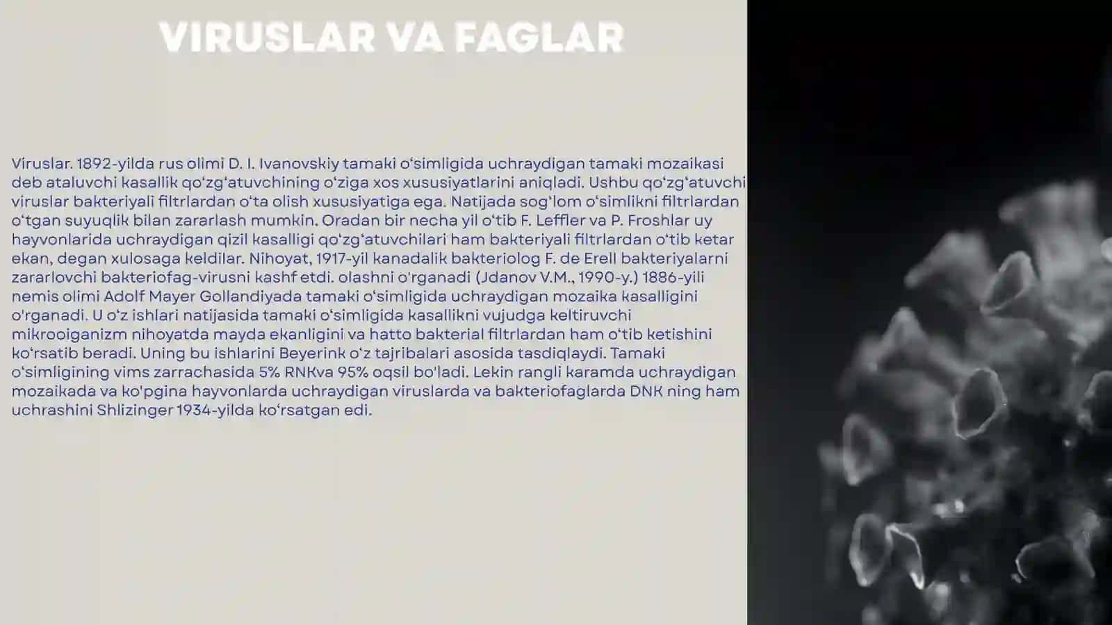 Viruslar va faglar 3