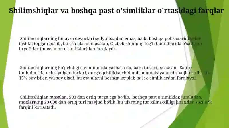 Shilimshiqlar Tallomi Tuzuilishi 3