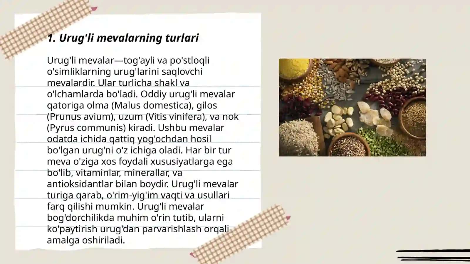 Urug'li va danakli mevalar taqdimoti 3