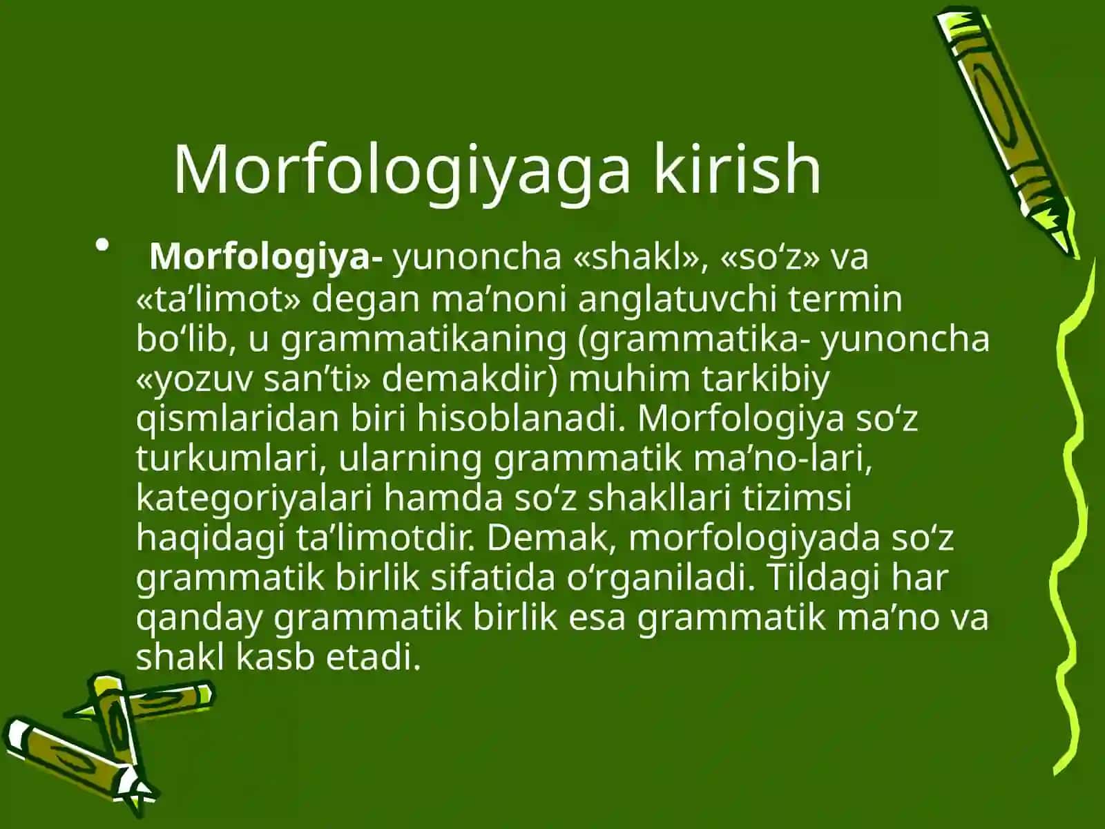 Morfologiyaga kirish 3
