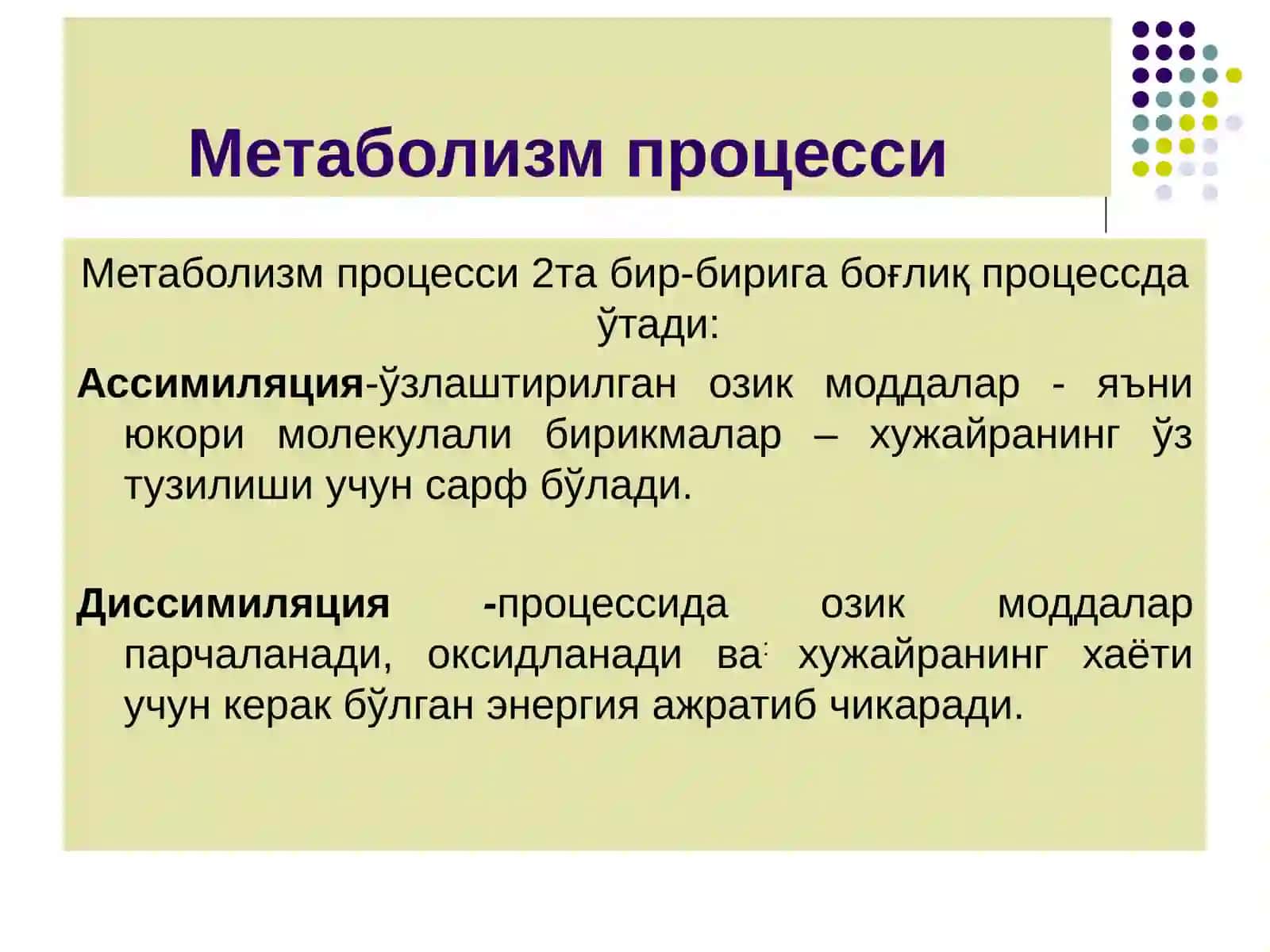 БАКТЕРИАЛАР 3