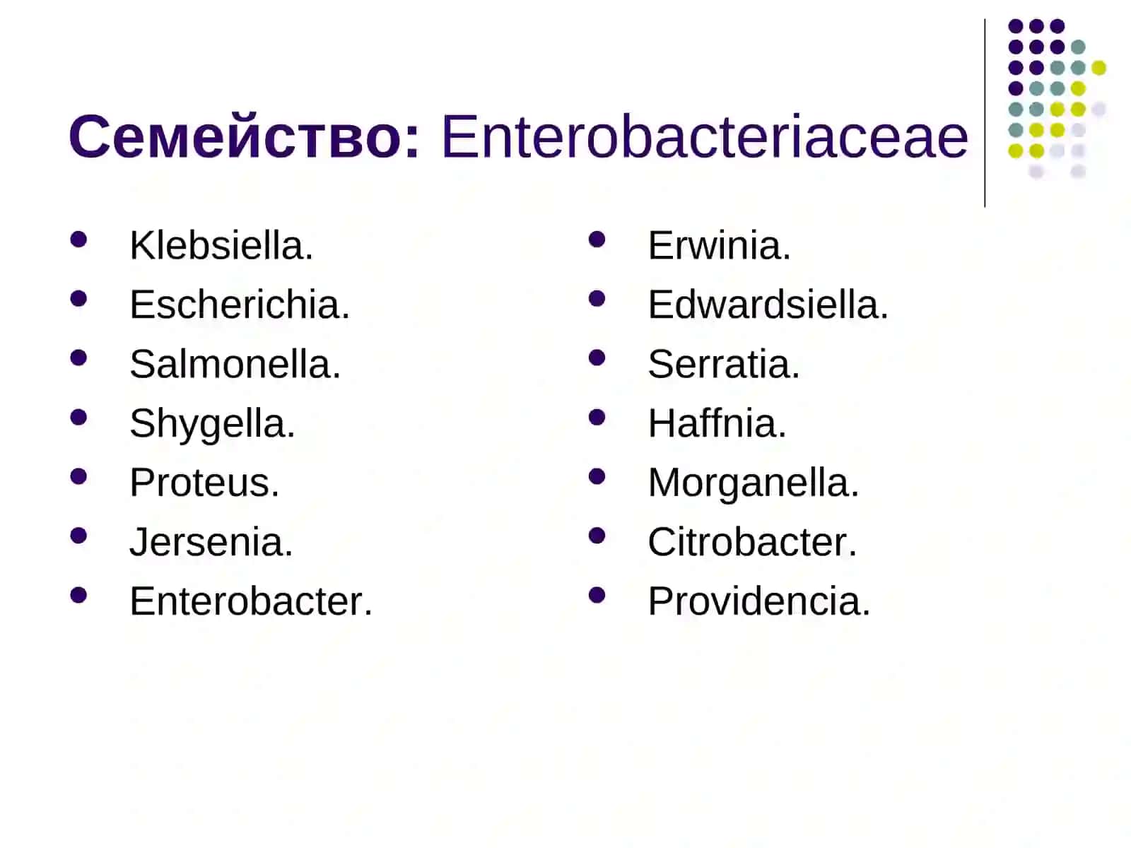 Характеристика семейства кишечных бактерий 3