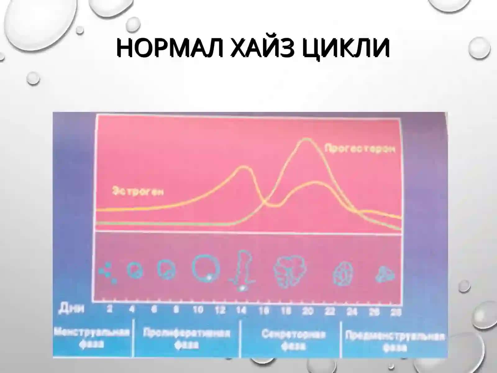 ХАЙЗ ЦИКЛИНИНГ БУЗИЛИШИ 3