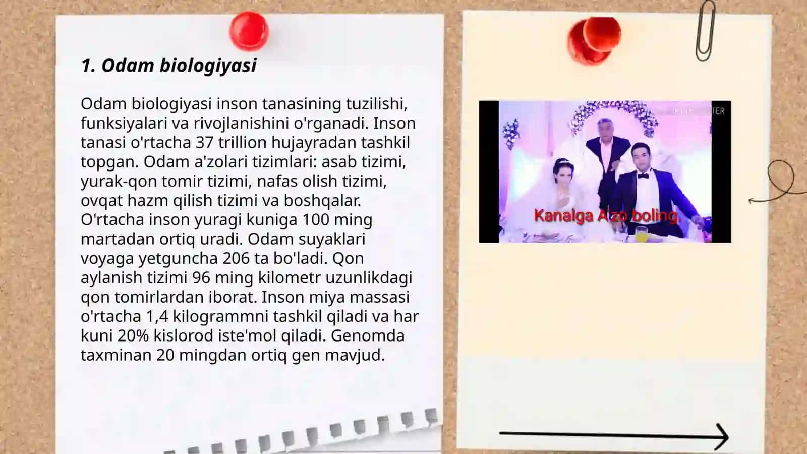 Odam biologiyasi 3