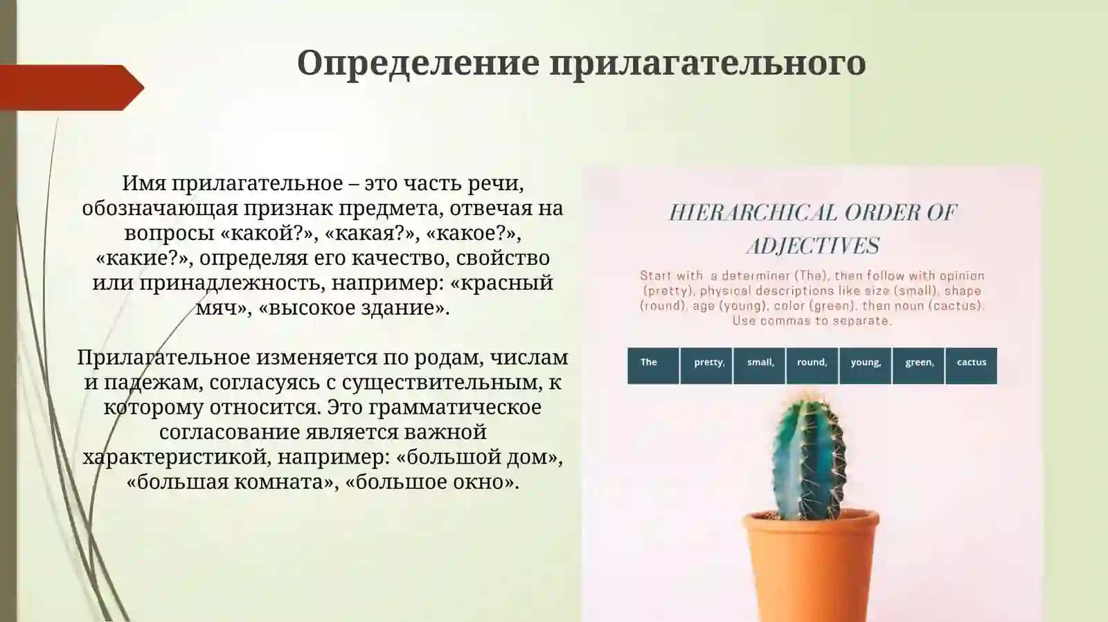 Прилагательное 3