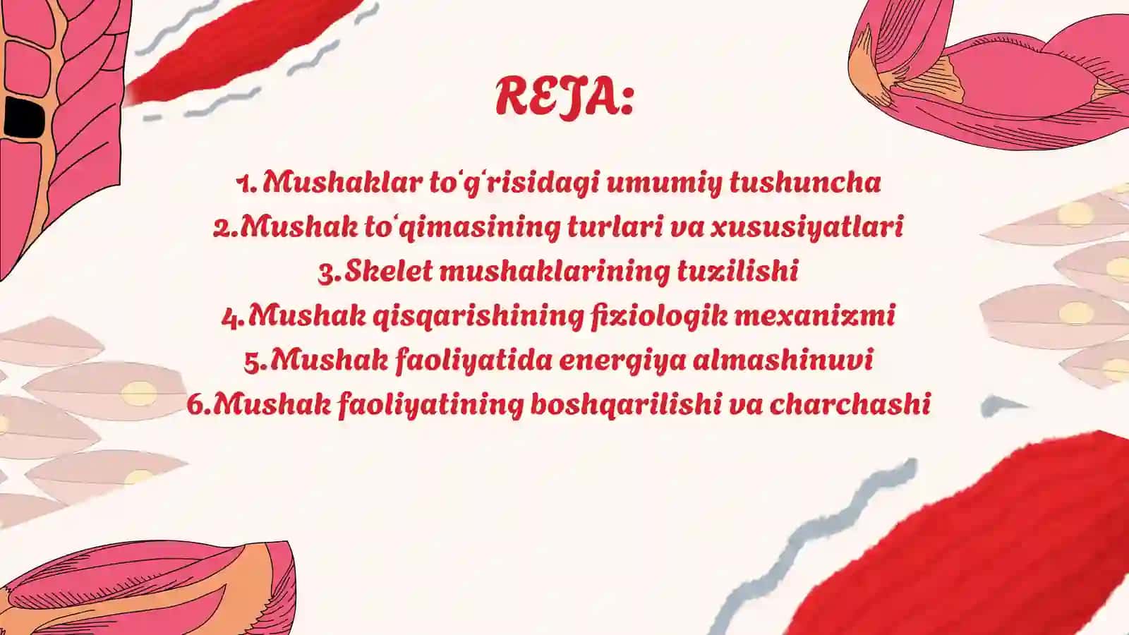 Mushaklar fiziologiyasi 3