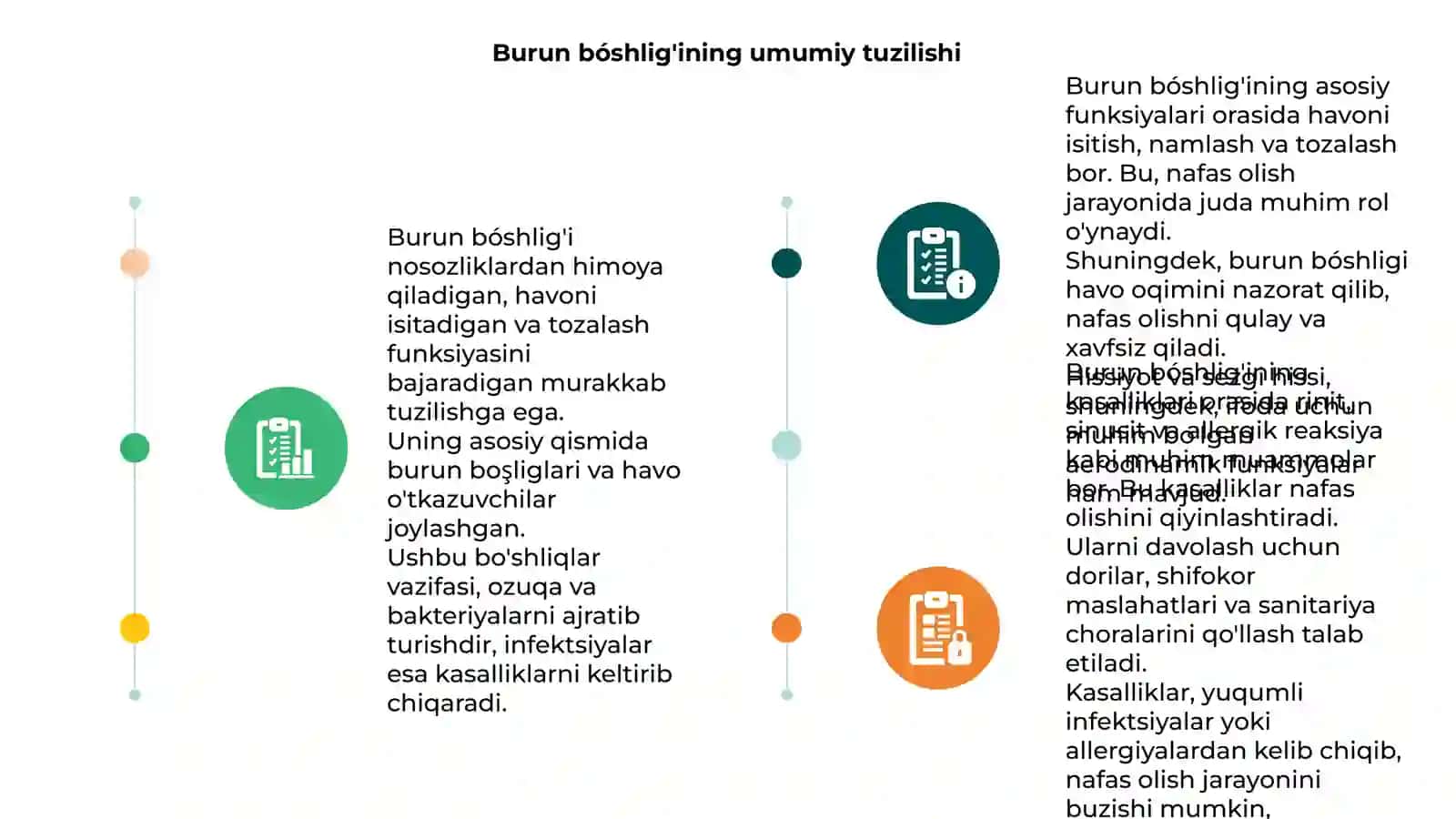Burun bóshlig'ining tuzilishi, funksiyasi, kasalliklari 3