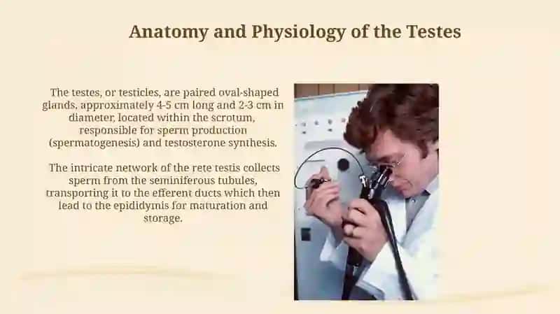 Diagnoz testlari 3