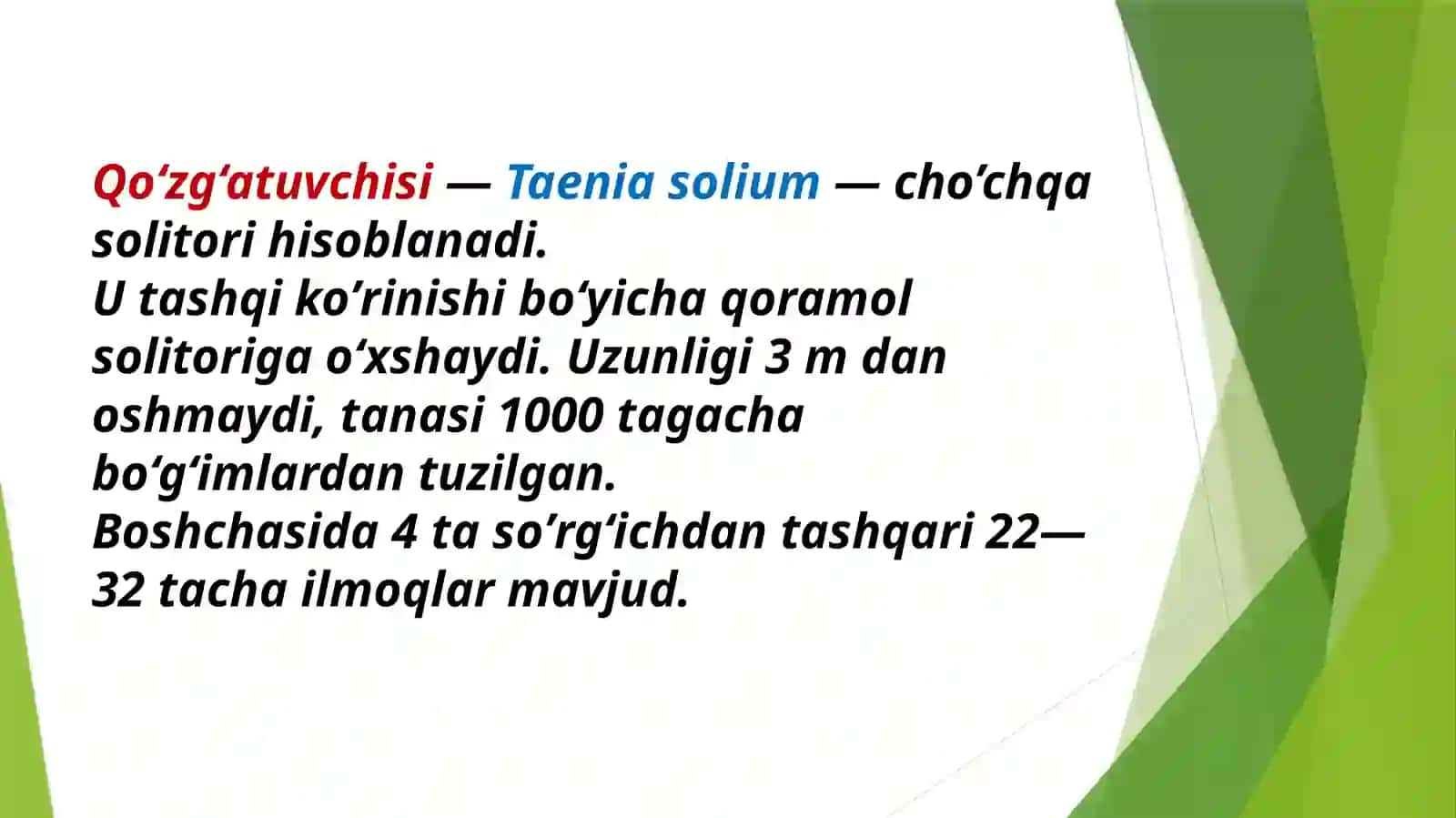 CHOʻCHQA TASMASIMON CHUVALCHANGI 3