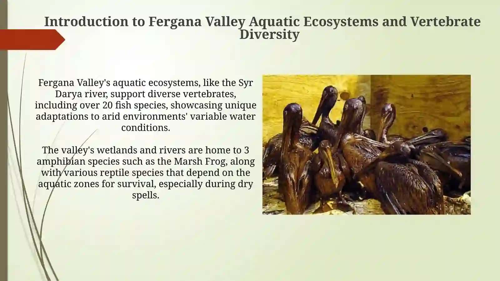 Аquatic Vertebrate Diversity in the Fergana Valley 3