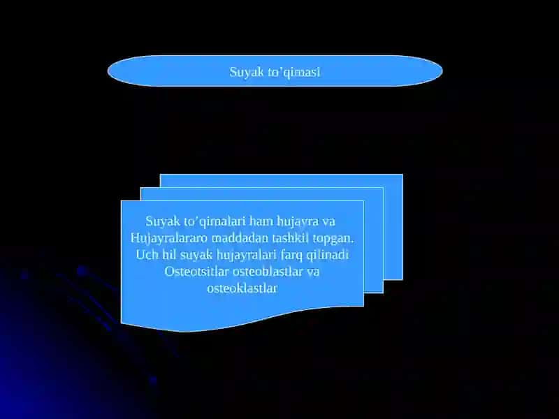 Suyak to’qimasi 3