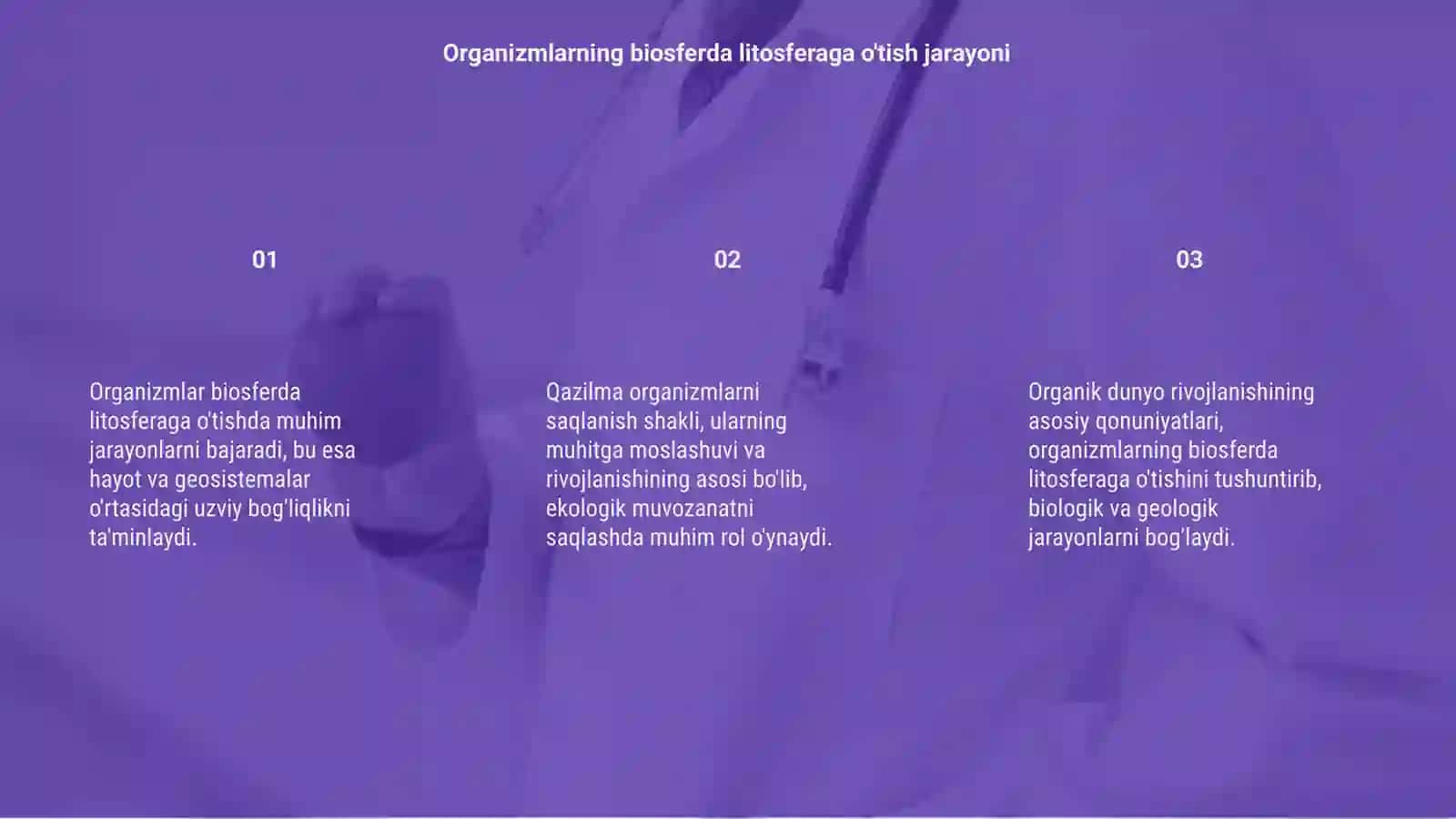 Organizmlarni biosferda litosferaga ótish jarayoni 3