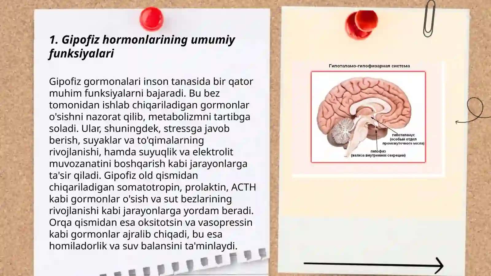 Gipofizni har bir gormonini vazifasi 3
