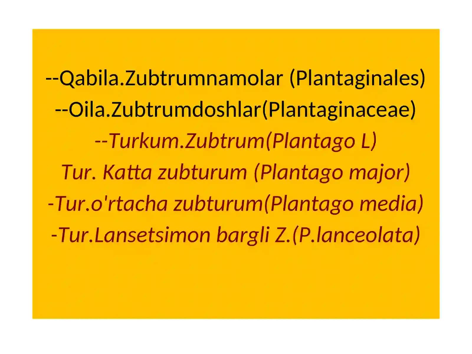 Zubtrum Turkumi 3
