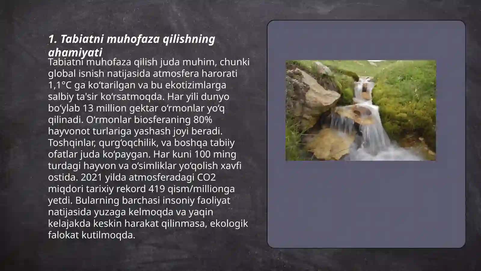 Tabiatni asraylik 3