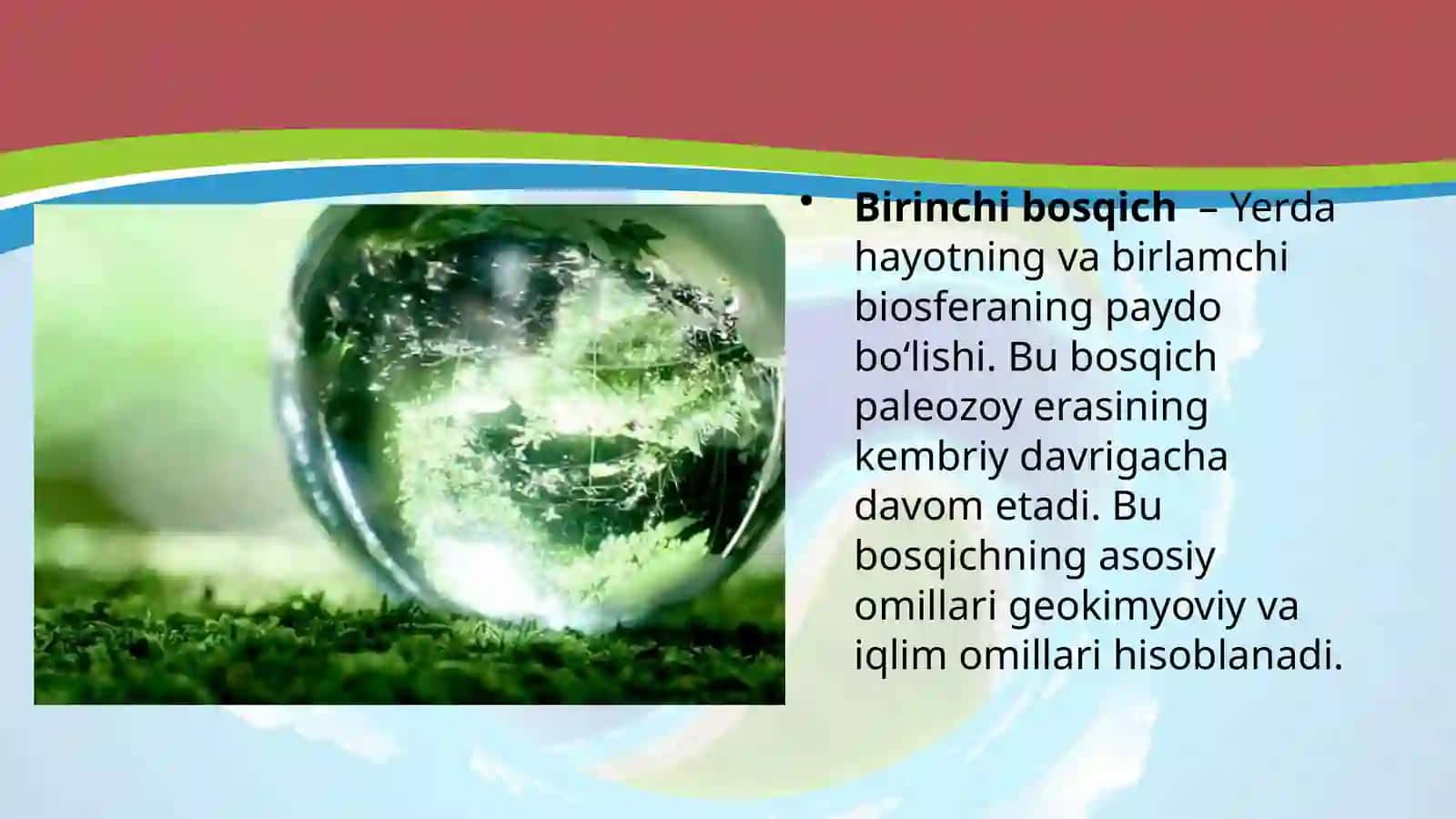 Biosfera evolutsiyasi. Biogenez 3
