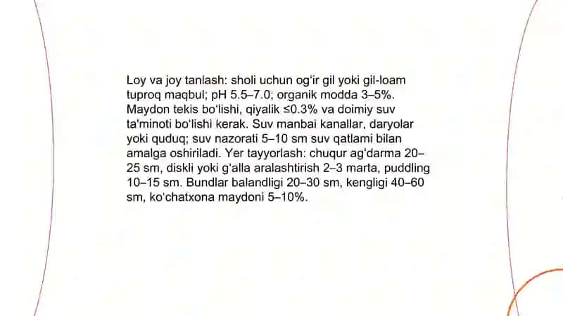 Sholi yetishtirish beznis reja 3