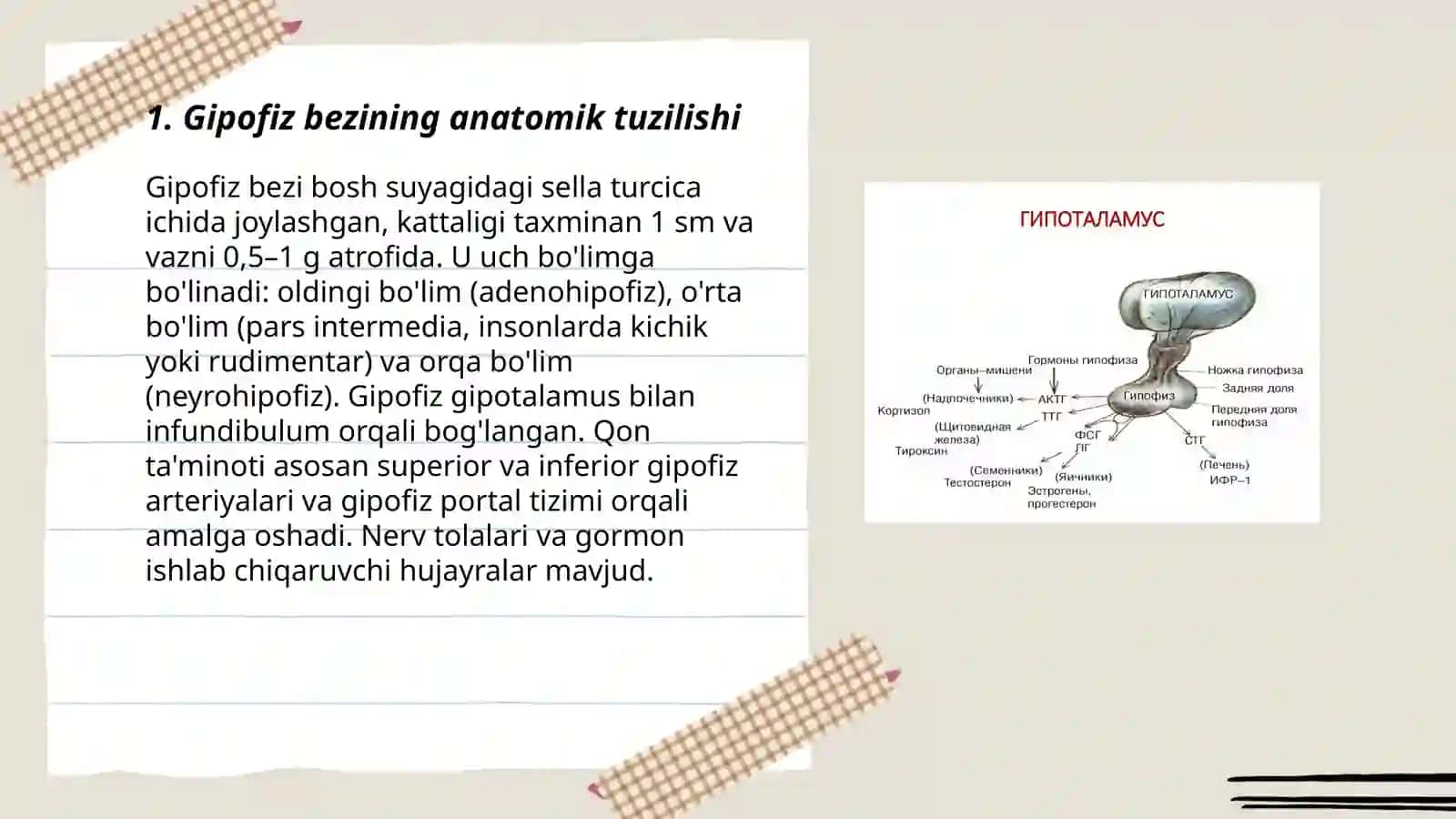 Gipofiz bezi 3