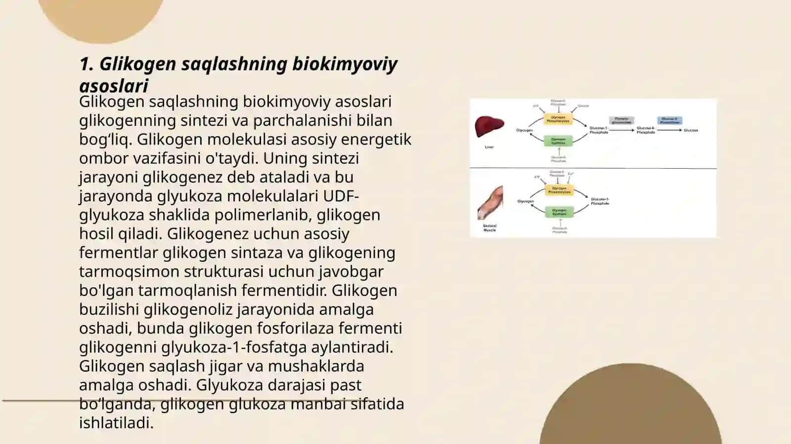 Glikogen zahirasi kassaliklari 3