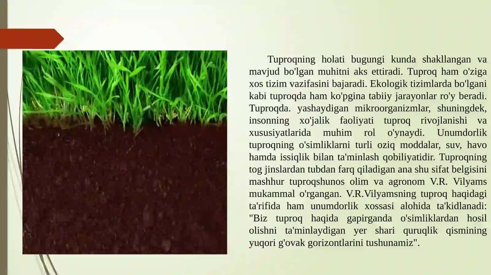 Tuproq haqida umumiy tushuncha 3