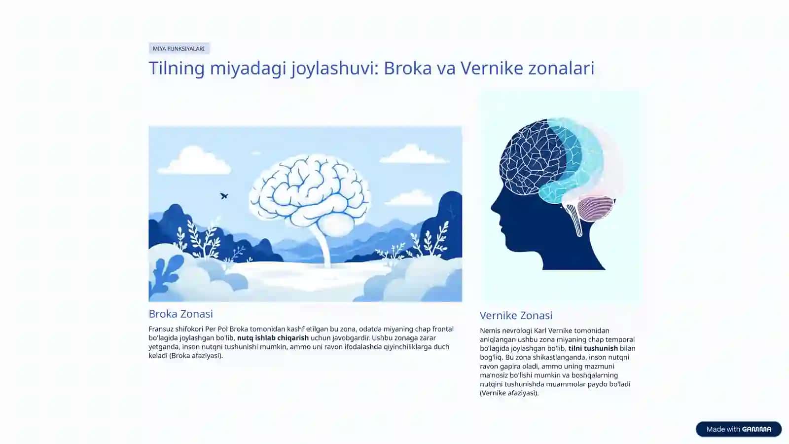 Neyrolingvistika: Til va Miya Aloqasi 3