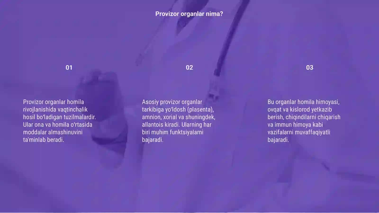 Provizor organlarni shakllanishi 3