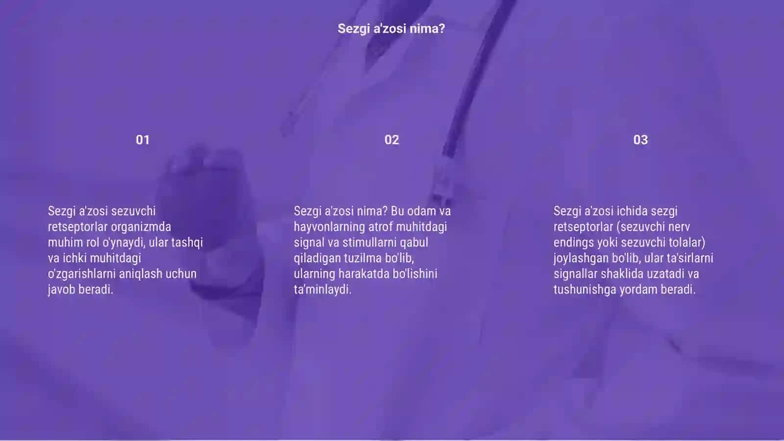 Sezgi a'zosi sezuvchi retseptor taktil retseptor 3