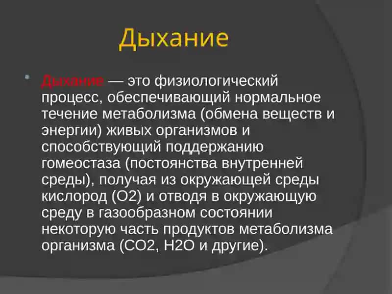 Особенности дыхания в различных условиях 3