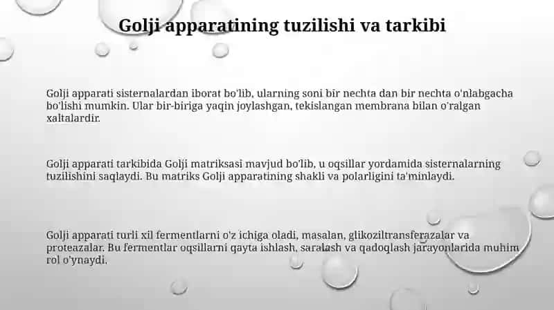 Golji apparatituzilishi 3