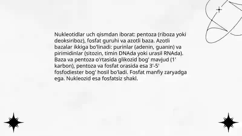 Nuklein kislotalarning tuzilishi 3