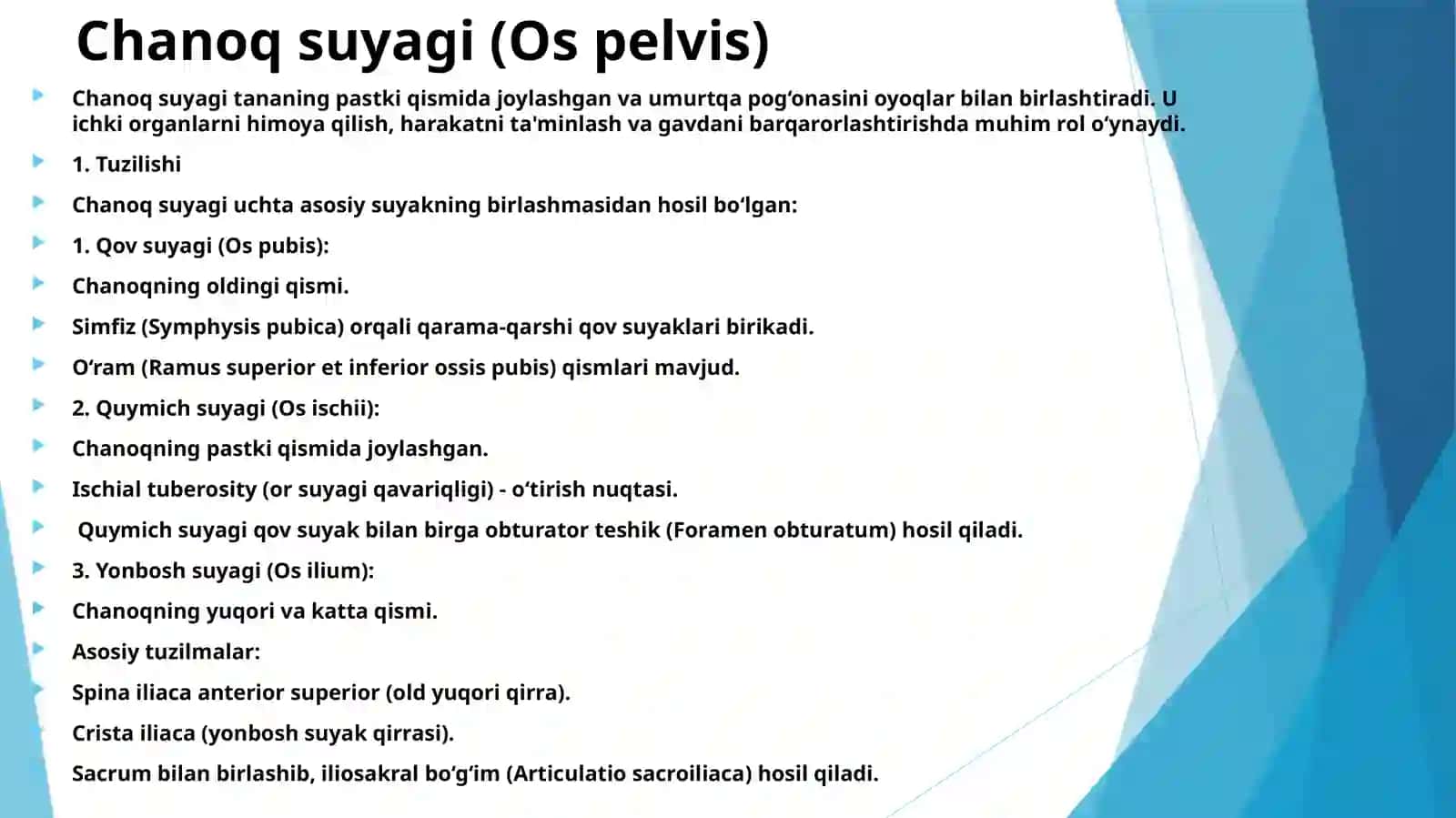 Chanoq kamari va oyoqning erkin suyaklari 3