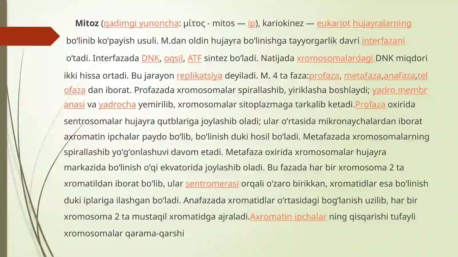 Mitoz jarayonining boshqarilishi 3