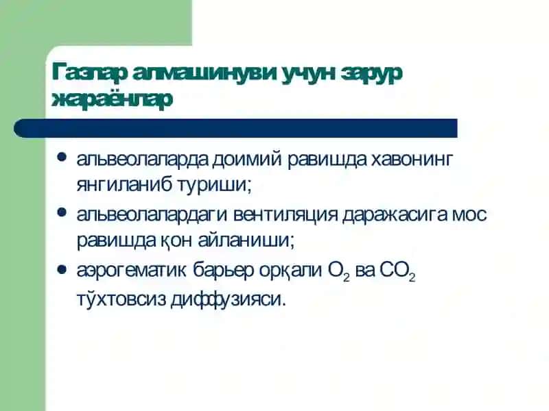 Ташқи нафастизими патофизиологияси 3