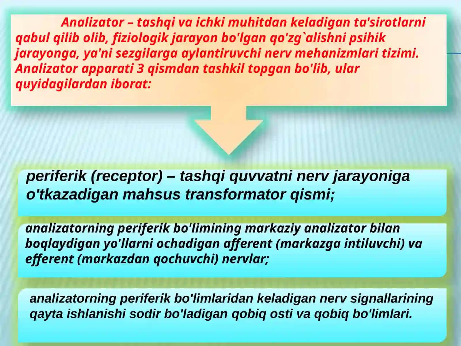 Insontanasining kinestatik sezgisi 3