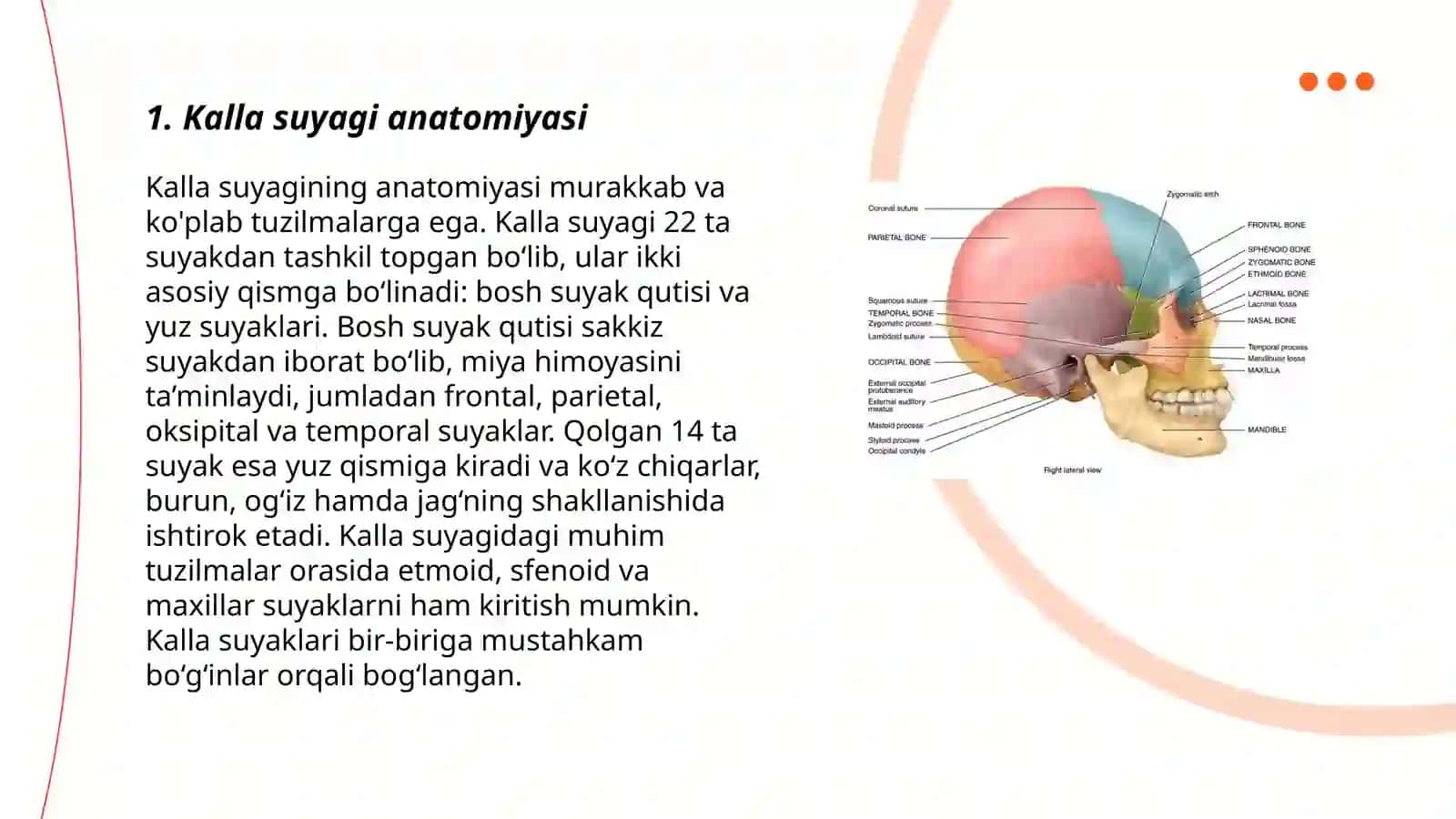 Kalla suyagi tuzulishi 3