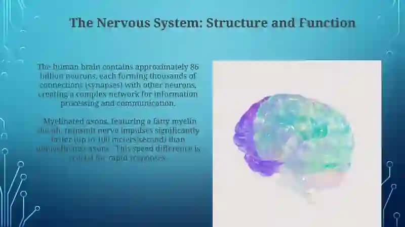 Neuroligiya 3