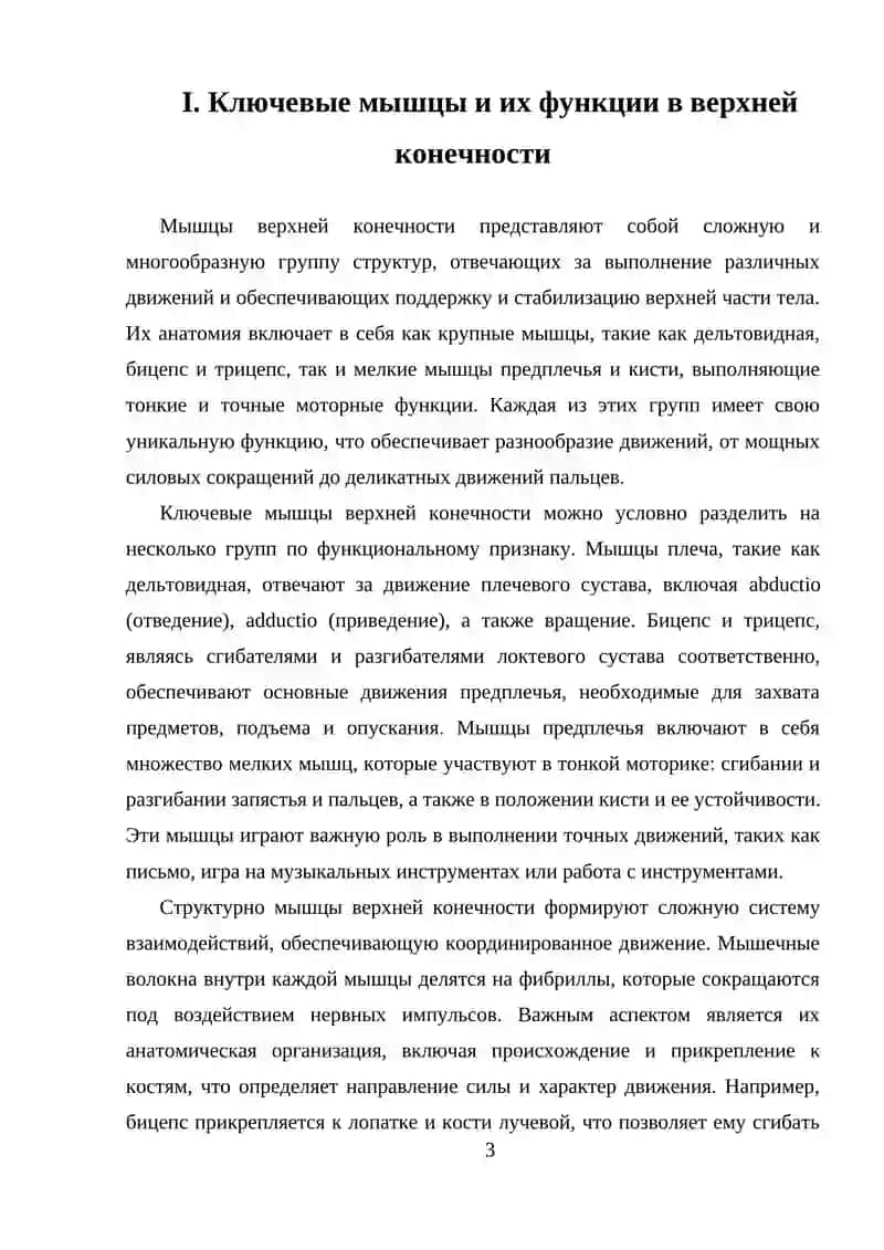 Мышцы верхней конечности 3