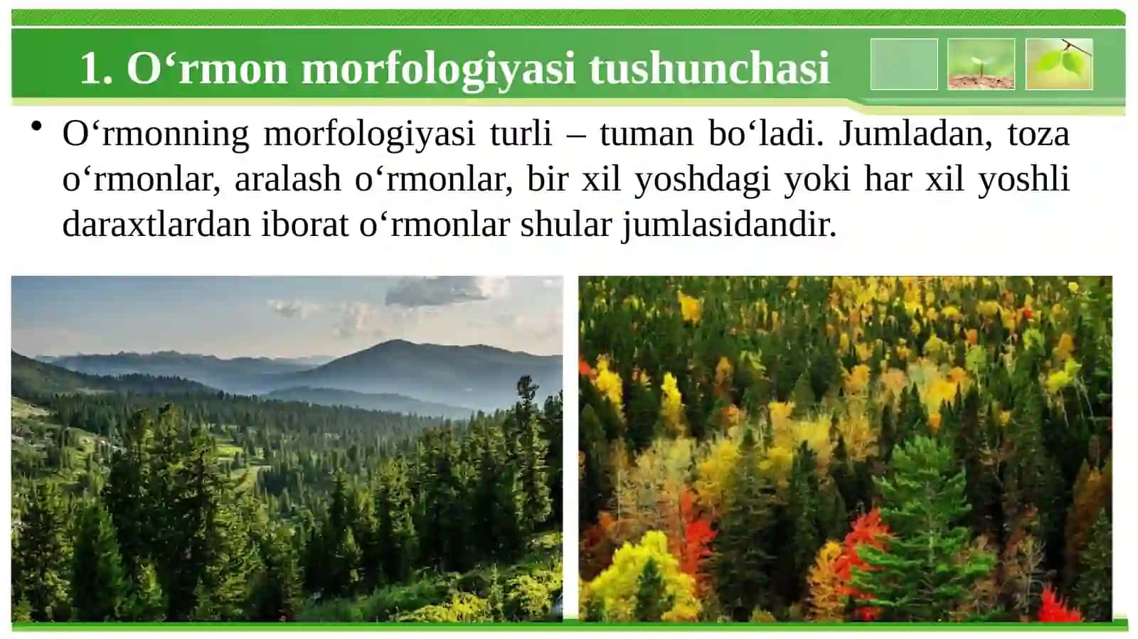 О‘rmon morfologiyasi.Asosiy elementlari va komponentlari 3