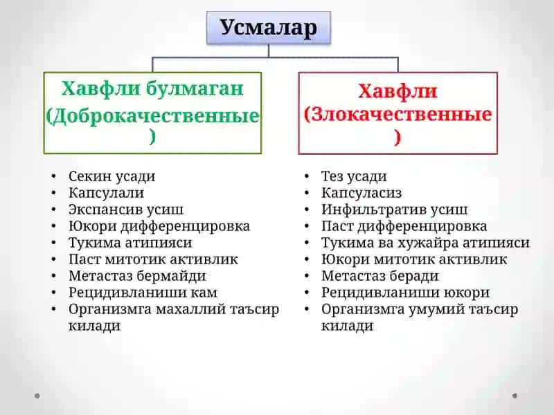 Усма патологияси 3