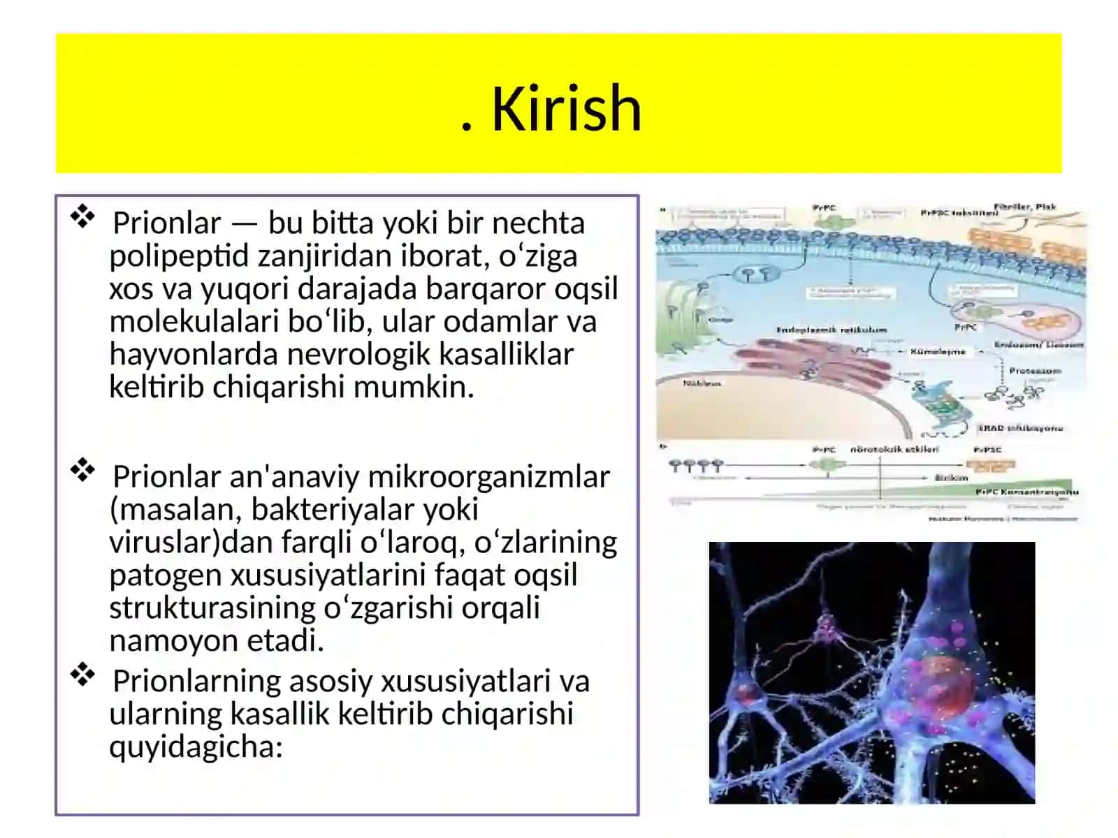 Prionlarning amaliyoti tibbiyotdan 3