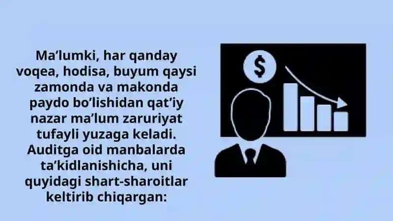 Auditning mohiyati maqsadi va vazifalari 3